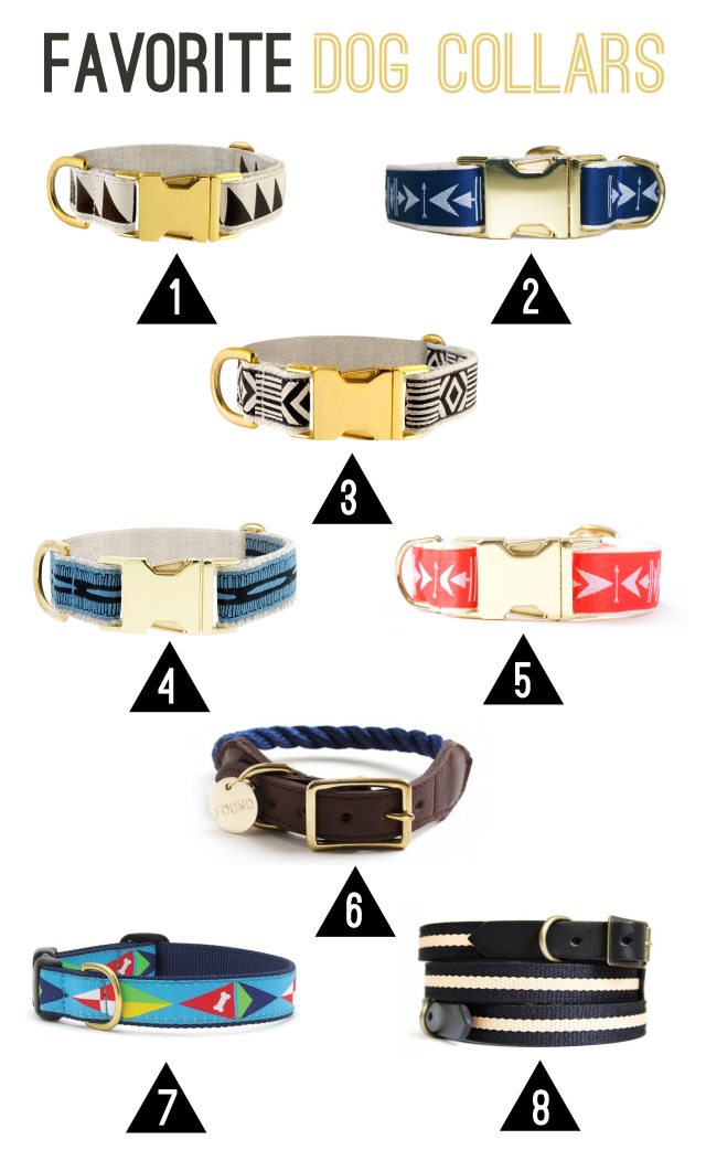 favorite dog collars